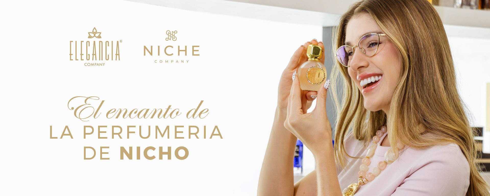 banner-sector-de-nicho
